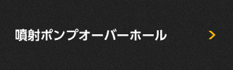 噴射ポンプオーバーホール
