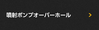 噴射ポンプオーバーホール